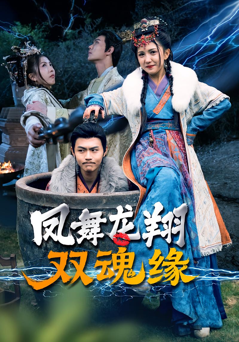 凤舞龙翔 双魂缘